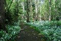 Springtime in Monaghan 2013 (29)